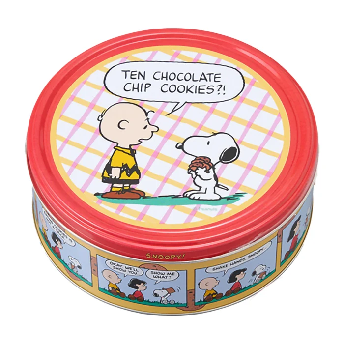 Scatola "Snoopy & Charlie Brown" con biscotti 150g