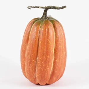 Zucca 13x22cm arancione
