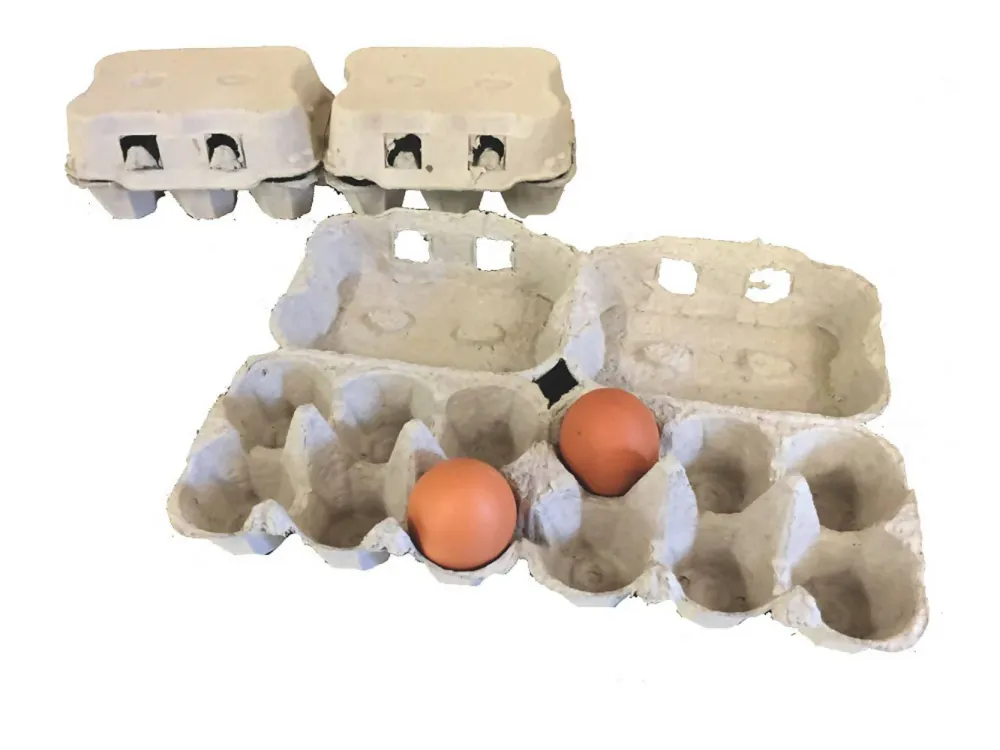 50x Confezioni Da 6 Uova Cartone Con Coperchio Portauova Da Materiale Riciclato
