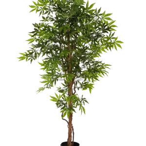 Acero giapponese artificiale - Ottilie | 180 cm