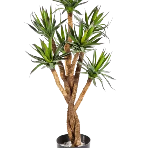 Agave artificiale - Prince | 70 cm