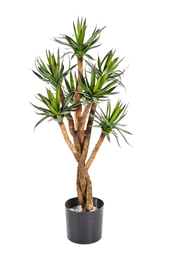 Agave artificiale - Prince | 70 cm