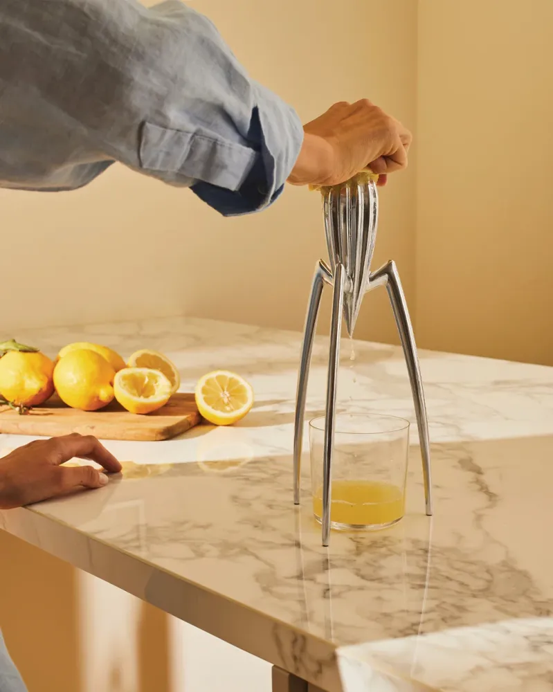 Alessi Juicy Salif | Spremiagrumi