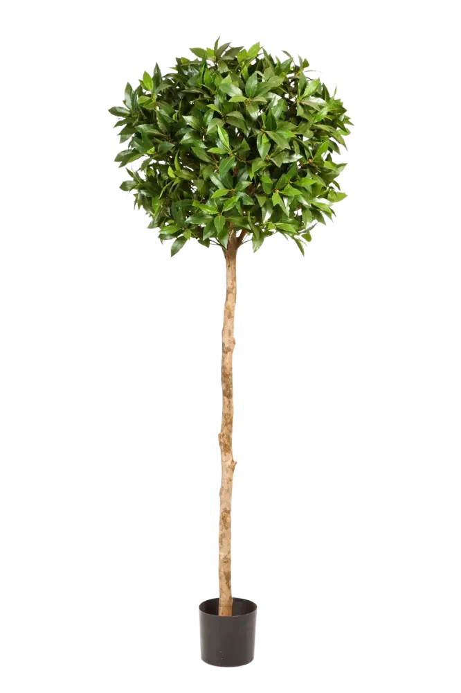 Alloro artificiale - Romy | 140 cm