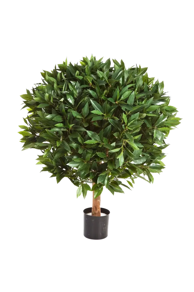 Alloro artificiale - Rosa | 55 cm