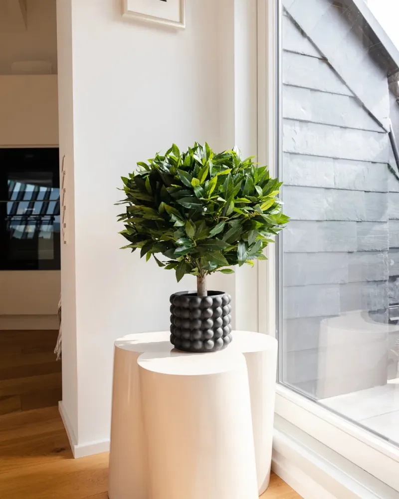Alloro artificiale - Rosa | 55 cm
