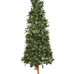 Alloro artificiale - Teresa | 110 cm