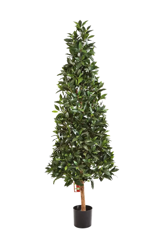 Alloro artificiale - Teresa | 110 cm