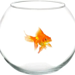 Ampolla Boccia Per Pesci Vetro 30 Cm Acquario Pesce Rosso Centrotavola