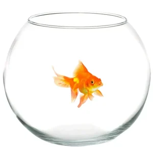 Ampolla Boccia Per Pesci Vetro 20 Cm Acquario Pesce Rosso Centrotavola
