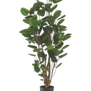Aralia artificiale pennata - Milano | 105 cm