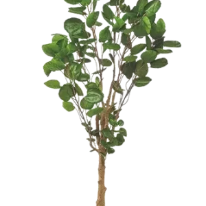 Aralia pennata artificiale - Milano | 150 cm