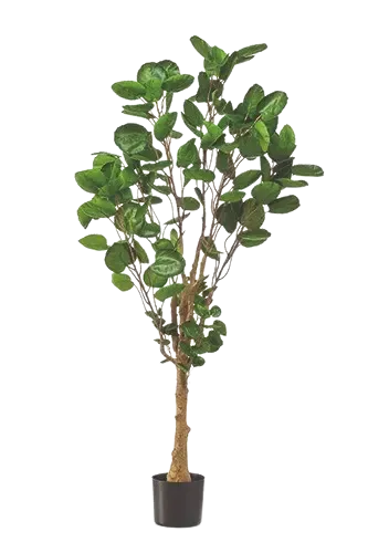 Aralia pennata artificiale - Milano | 150 cm