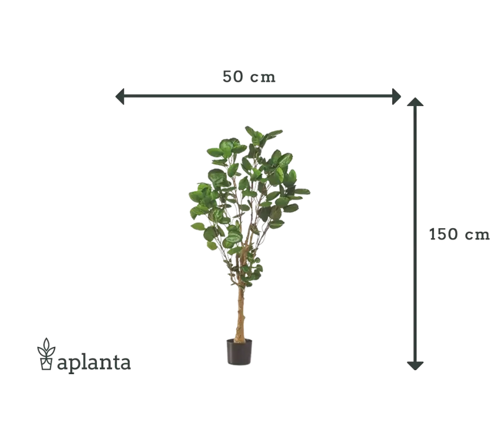 Aralia pennata artificiale - Milano | 150 cm