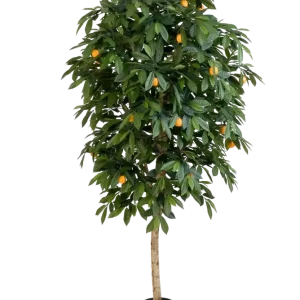 Arancio artificiale - Pius | 170 cm
