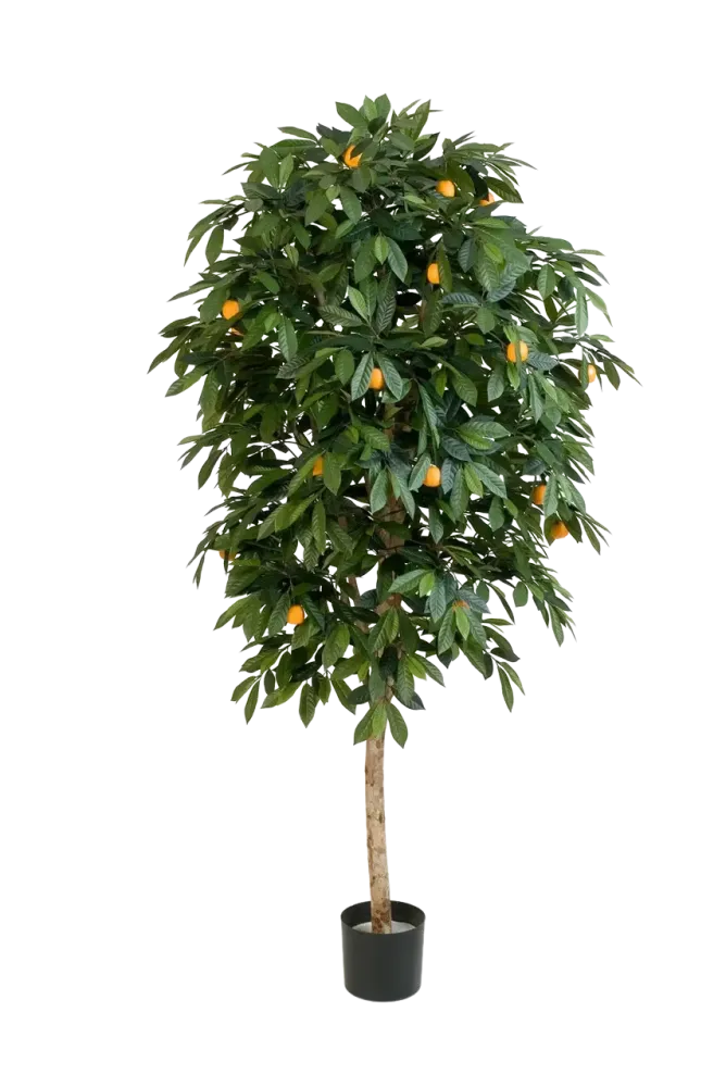 Arancio artificiale - Pius | 170 cm