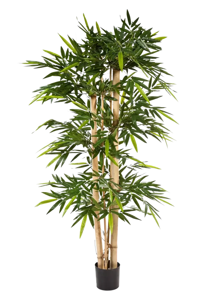 Bambù artificiale - Martha | 180 cm