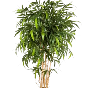 Bambù artificiale - Maxim | 180 cm