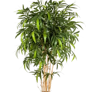 Bambù artificiale - Maxim | 300 cm