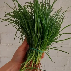 Barba di frate biologica 300 gr