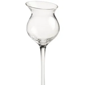 bicchieri liquore