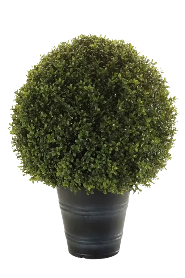 Bosso artificiale - Lynn | 68 cm