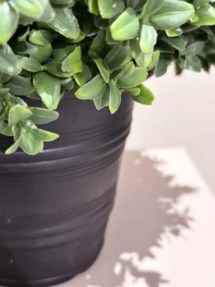 Bosso artificiale - Lynn | 68 cm