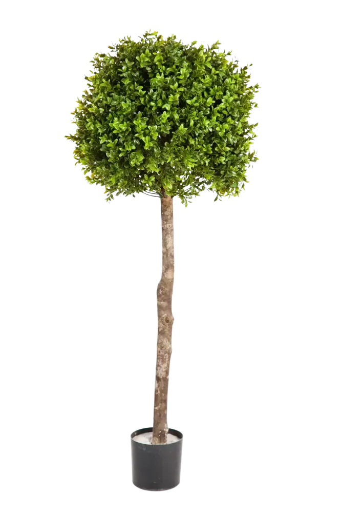 Bosso artificiale - Rayan | 105 cm