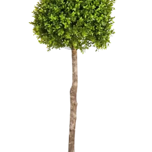 Bosso artificiale - Rayan | 105 cm