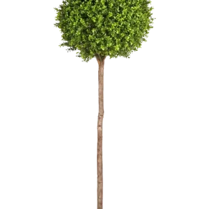 Bosso artificiale - Rayan | 170 cm