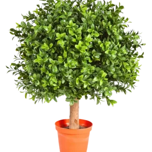 Bosso artificiale - Rico | 40 cm