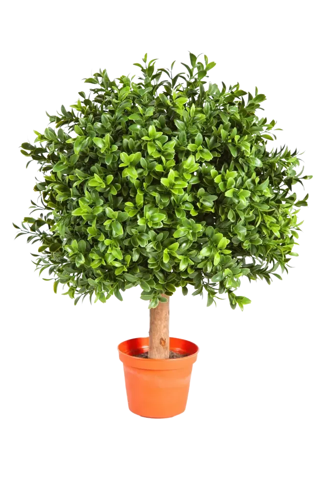 Bosso artificiale - Rico | 40 cm