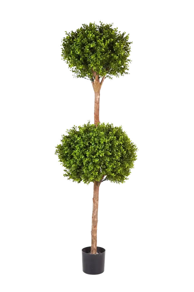 Bosso artificiale - Ruben | 165 cm