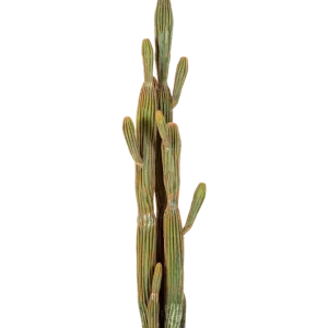 Cactus artificiale - Heinz | 150 cm, Real Touch