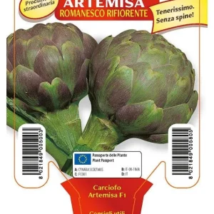 Carciofo romanesco Artemisa F1 - 1 pianta v.10 cm - Orto Mio