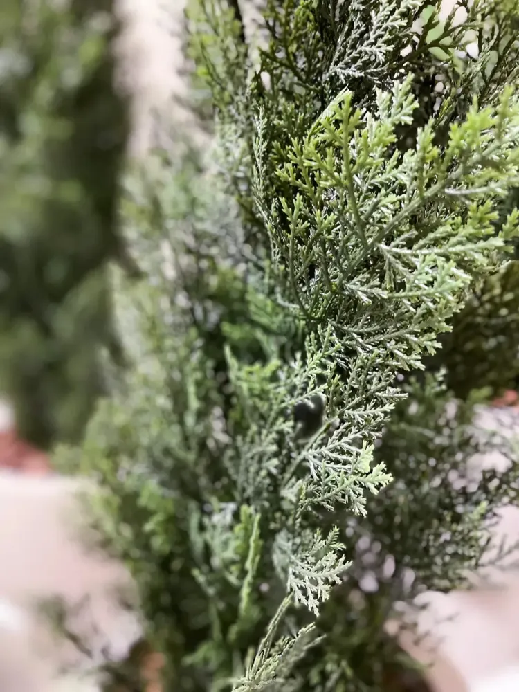 Cedro artificiale - Mira | 90 cm
