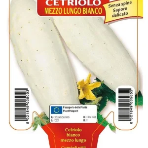 Cetriolo bianco mezzo lungo White Wonder F1 - 1 pianta v.10 - Orto Mio