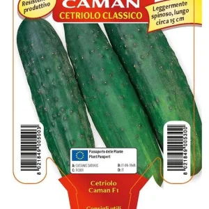 Cetriolo classico Caman F1 - 1 pianta v.10 cm - Orto Mio
