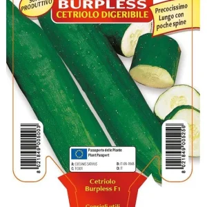 Cetriolo lungo digeribile Burpless F1 -1 pianta v.10 cm - Orto Mio