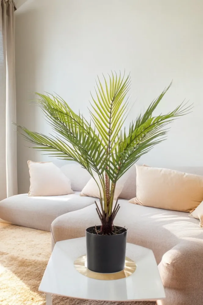 Chamaedorea artificiale - h50cm, Ø15cm