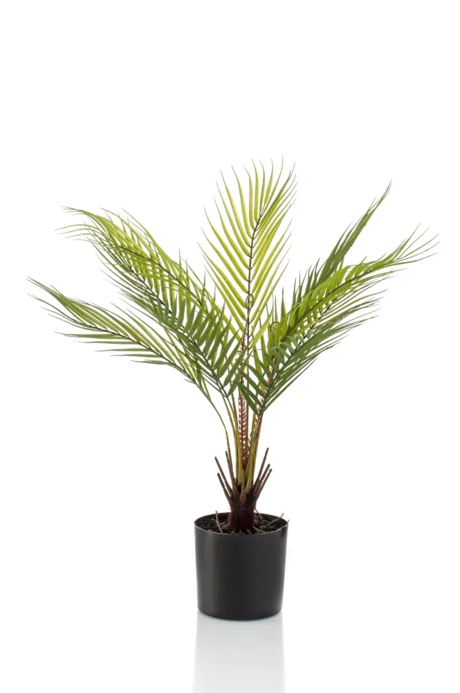 Chamaedorea artificiale - h50cm, Ø15cm