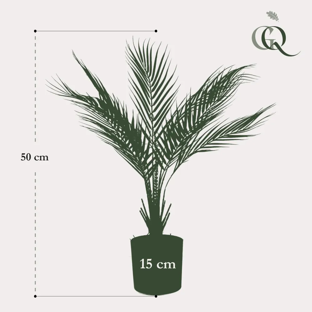 Chamaedorea artificiale - h50cm, Ø15cm