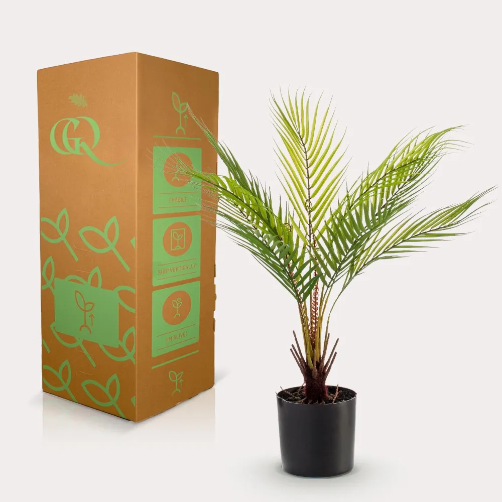 Chamaedorea artificiale - h50cm, Ø15cm