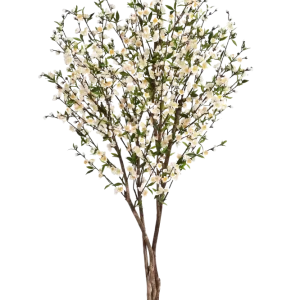 Ciliegio artificiale - Willi | 170 cm
