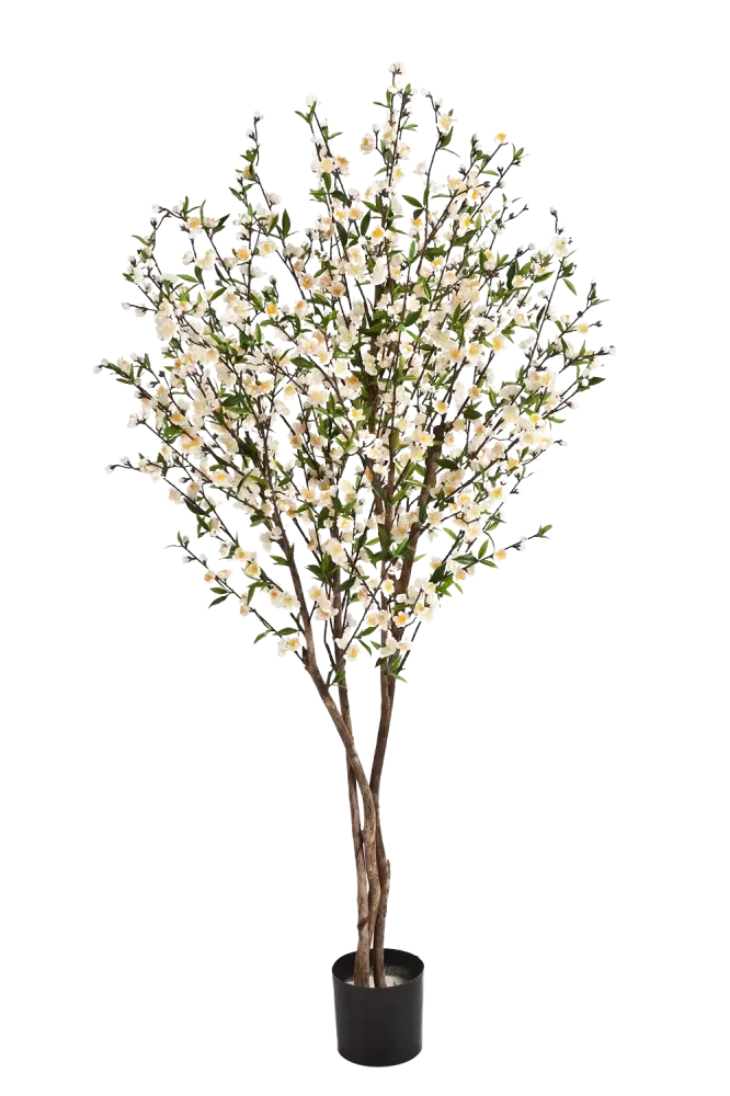Ciliegio artificiale - Willi | 170 cm
