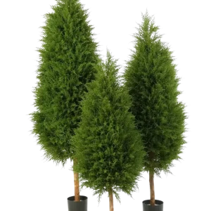 Cipresso artificiale - Pepe | 180 cm