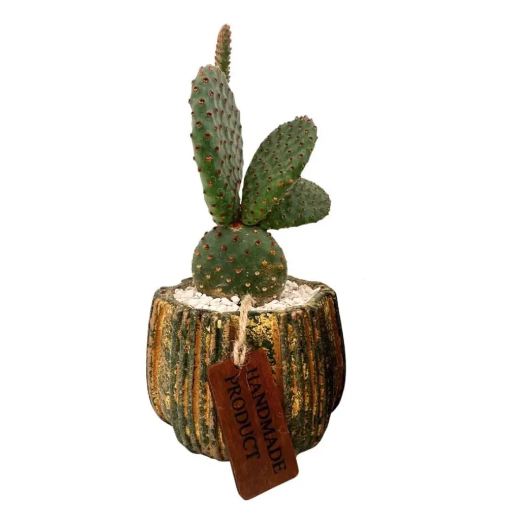Composizione di una pianta grassa vaso ceramica decor