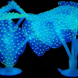 Corallo Finto Silicone Blu Artificiale Per Decorazioni Acquario Addobbi Pesci