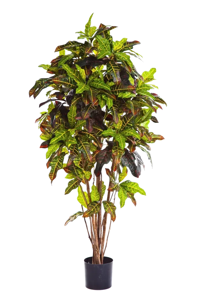 Croton artificiale - Ornella | 180 cm