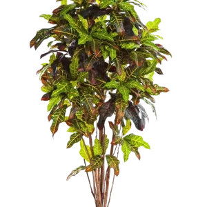 Croton artificiale - Ornella | 180 cm